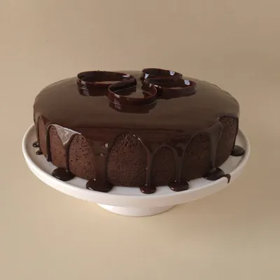 كيكة الشوكولاتة الغنية